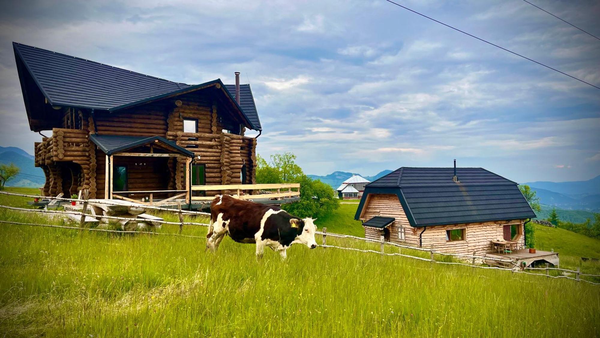The Barn Βίλα Şirnea Εξωτερικό φωτογραφία