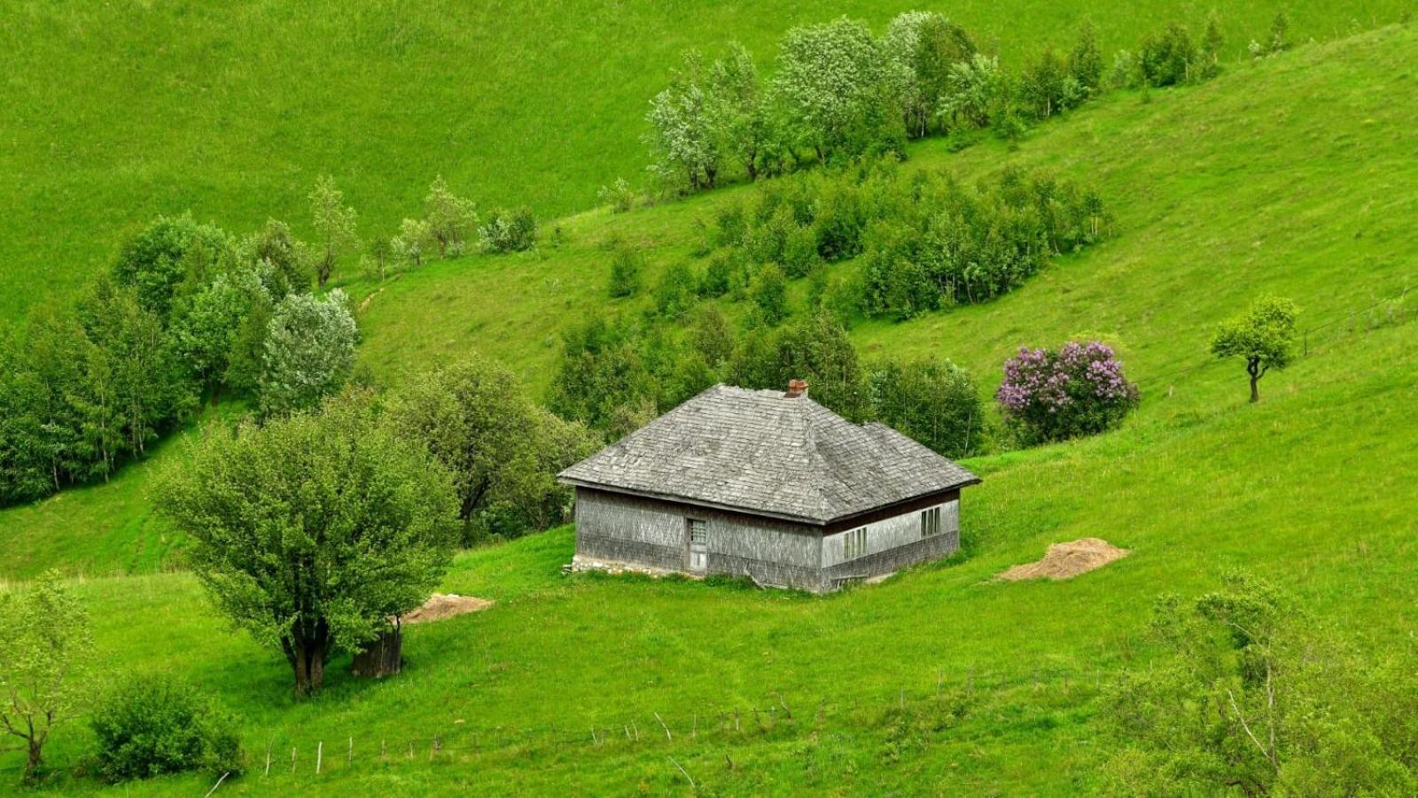 The Barn Βίλα Şirnea Εξωτερικό φωτογραφία